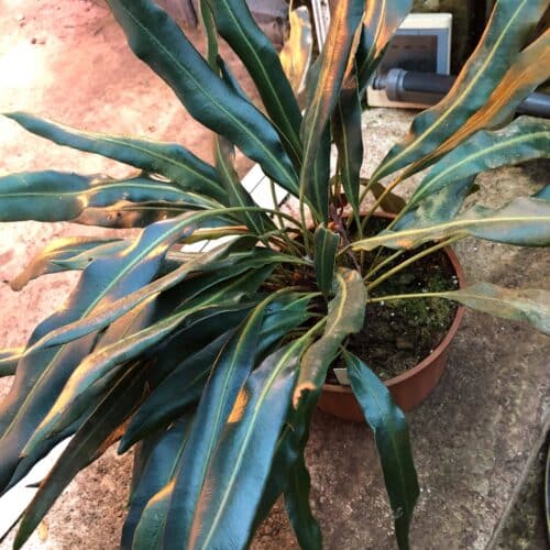 BWQGtfqHGXt8LOWvesPK.jpg BWQGtfqHGXt8LOWvesPK.jpg