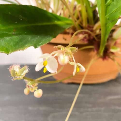 BaOlMblcy5p24ei3f10D.jpg BaOlMblcy5p24ei3f10D.jpg