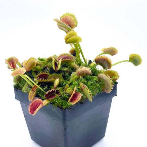 BeHhul2ezBUHlADVXERF.jpg BeHhul2ezBUHlADVXERF.jpg