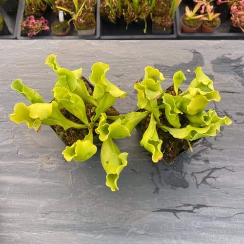 BxARw53AGAFzAvA6ZmRl.jpg BxARw53AGAFzAvA6ZmRl.jpg