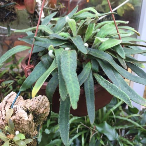 Bztdj6CYto7yrUdmmf2l.jpg Bztdj6CYto7yrUdmmf2l.jpg