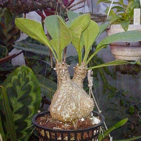 CGeegEitMYbKxfrqMHRu.jpg CGeegEitMYbKxfrqMHRu.jpg