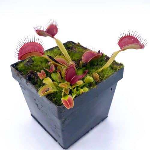 CLPiiDYCsfMnwhhAZeJu-1.jpg CLPiiDYCsfMnwhhAZeJu-1.jpg