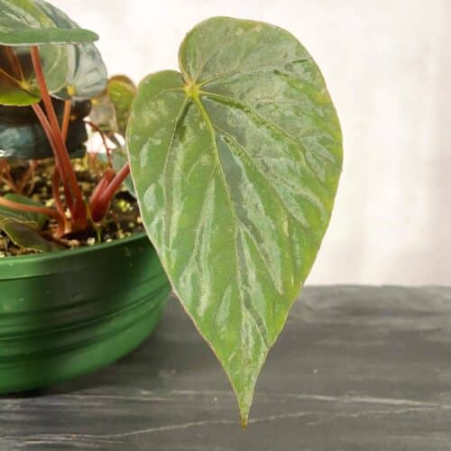 CYLQU2ERvtaPHClDzI6A.jpg CYLQU2ERvtaPHClDzI6A.jpg