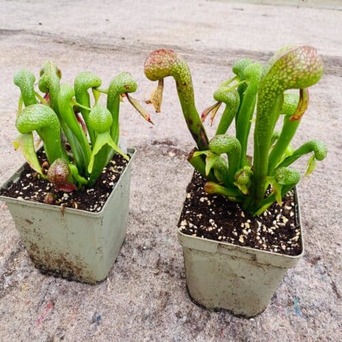 CltpgNOoDCREC7HPElQP.jpg CltpgNOoDCREC7HPElQP.jpg