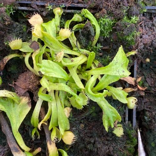 CmBfSoIU974VeADWUrkD.jpg CmBfSoIU974VeADWUrkD.jpg