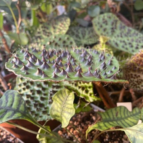 D1VSn6vEQzAZ0ZjQQIH1.jpg D1VSn6vEQzAZ0ZjQQIH1.jpg