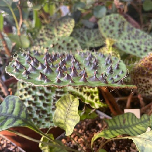 D1VSn6vEQzAZ0ZjQQIH1.jpg D1VSn6vEQzAZ0ZjQQIH1.jpg