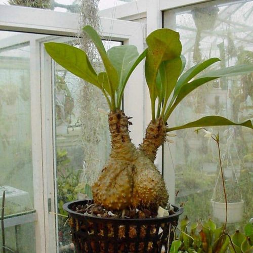 D2XYUjWyWIpNTzTwKWvu.jpg D2XYUjWyWIpNTzTwKWvu.jpg