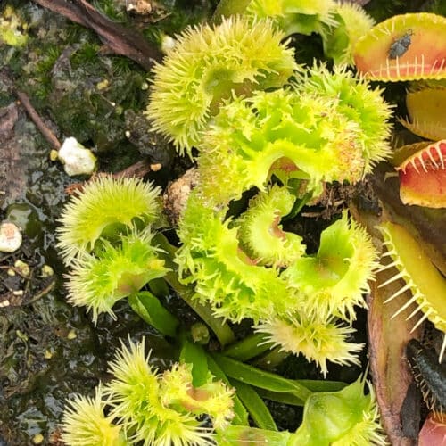 D8b6bQAoZZL6X3uB9MNE.jpg D8b6bQAoZZL6X3uB9MNE.jpg