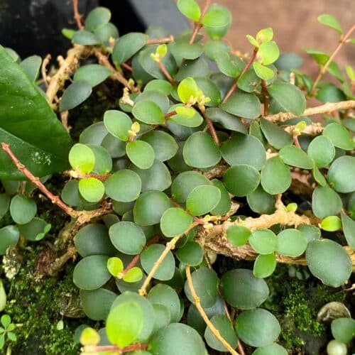 DHtJ2n0PLwkPYT6gjfZI.jpg DHtJ2n0PLwkPYT6gjfZI.jpg