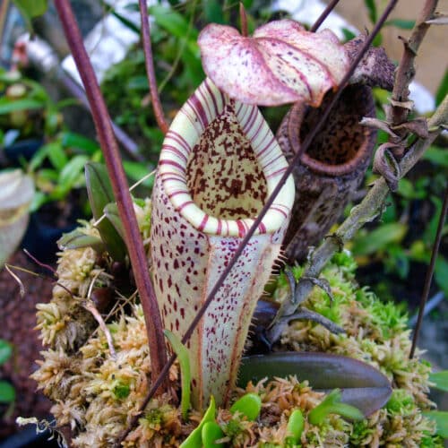 DRymQbCkOqIz4BIKlsmy.jpg DRymQbCkOqIz4BIKlsmy.jpg