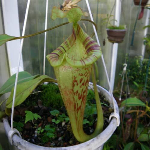 DVT9jZtxpTGhjx6IJkHD.jpg DVT9jZtxpTGhjx6IJkHD.jpg