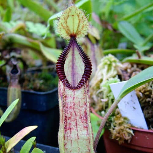 DabYjR7wksWSCmo1ESKs.jpg DabYjR7wksWSCmo1ESKs.jpg