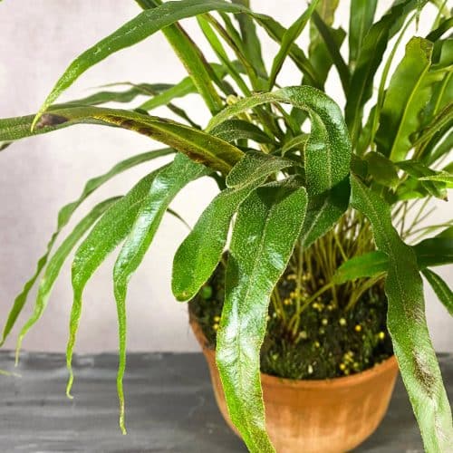 Dgev3iBacblG3hXHM3Sl.jpg Dgev3iBacblG3hXHM3Sl.jpg