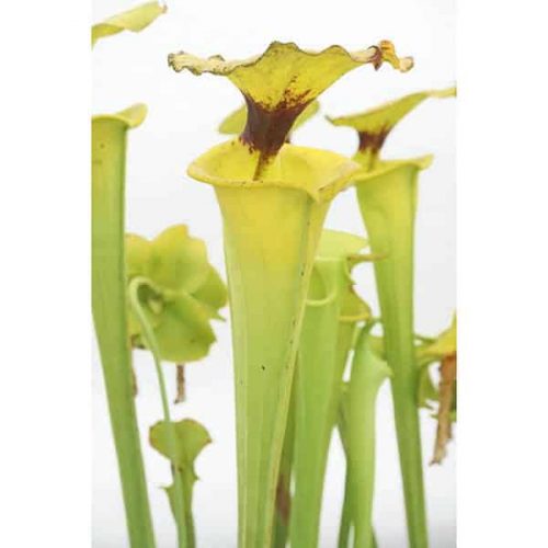 DiCCg1eDbHsCYo8zzoaf.jpg DiCCg1eDbHsCYo8zzoaf.jpg