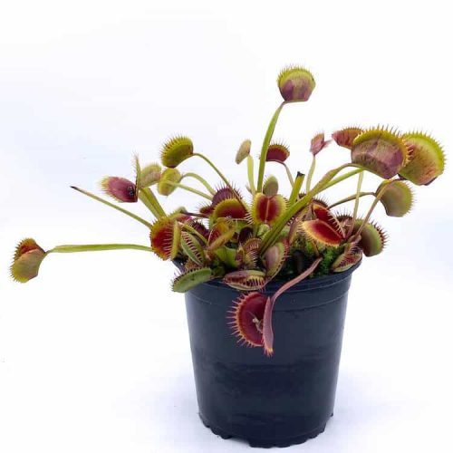 DkfhjuKDmuNksMvNhwmd.jpg DkfhjuKDmuNksMvNhwmd.jpg