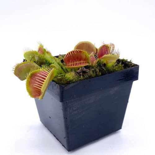 DlN2NR2mPoRg3DeeMypZ-1.jpg DlN2NR2mPoRg3DeeMypZ-1.jpg