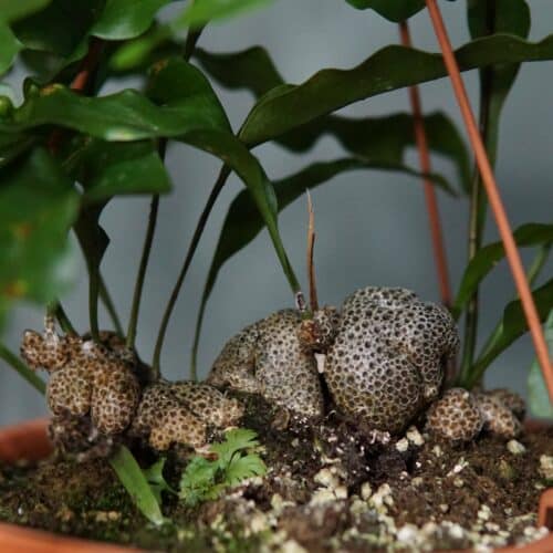 DzrZdi0rDOBMhoSLkhGU.jpg DzrZdi0rDOBMhoSLkhGU.jpg