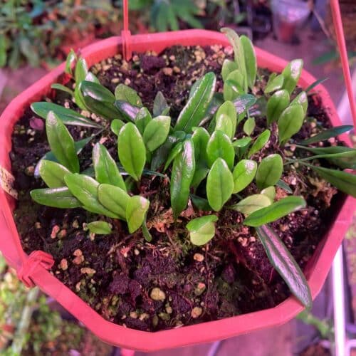 E2wYN1wsAlgZnvF1sbg3.jpg E2wYN1wsAlgZnvF1sbg3.jpg