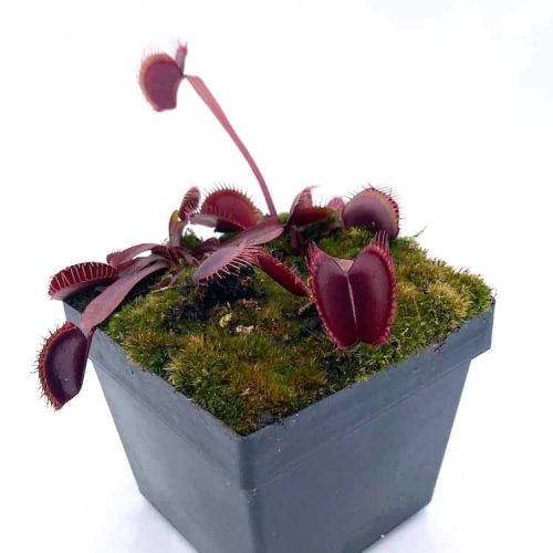 E4umWLzHatN61aDjiHVr.jpg E4umWLzHatN61aDjiHVr.jpg