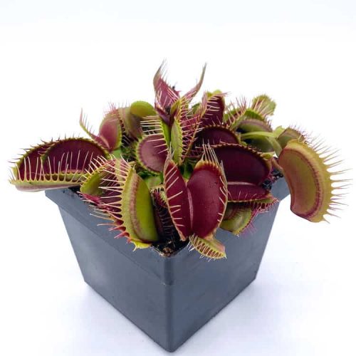 E6OQV0zeAIIE6c2hOKVm.jpg E6OQV0zeAIIE6c2hOKVm.jpg