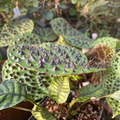 E86MyoRn8VcftjDxDjH1.jpg E86MyoRn8VcftjDxDjH1.jpg