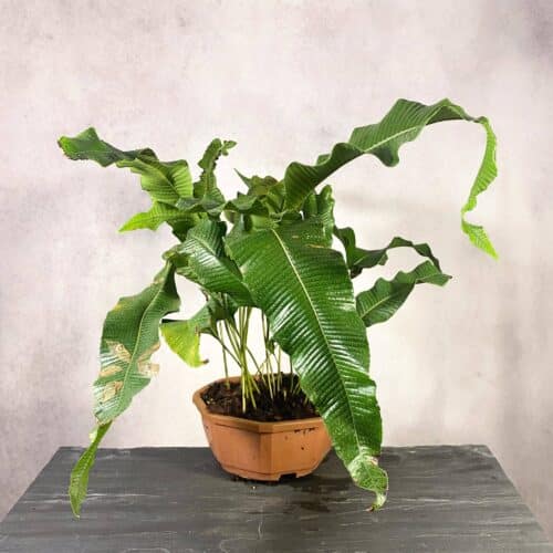 E8AUeFuujkPIPYuehe76.jpg E8AUeFuujkPIPYuehe76.jpg