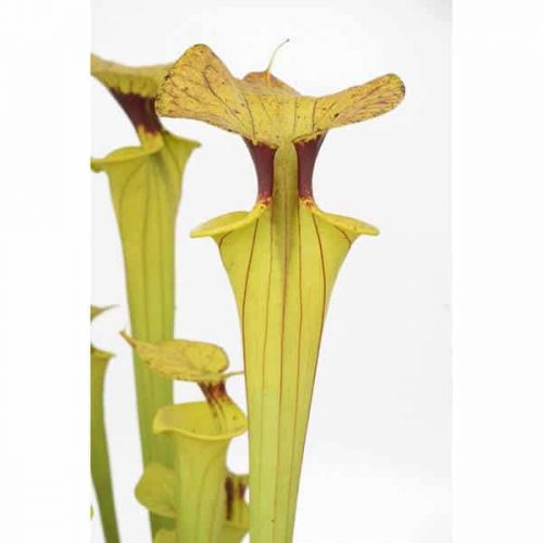 E93lHe89XoDRbUbImfBL.jpg E93lHe89XoDRbUbImfBL.jpg