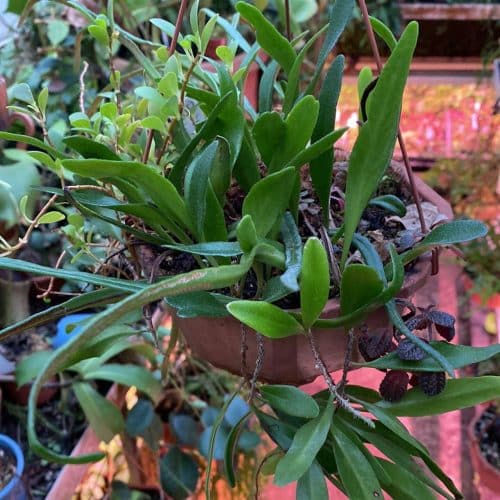 EGgCJlPaHB6rJrQJSVaX.jpg EGgCJlPaHB6rJrQJSVaX.jpg