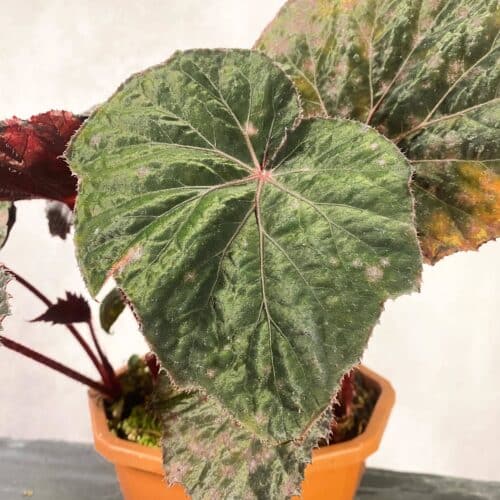 EWtZ0lgIFXblnkOzRRbr.jpg EWtZ0lgIFXblnkOzRRbr.jpg