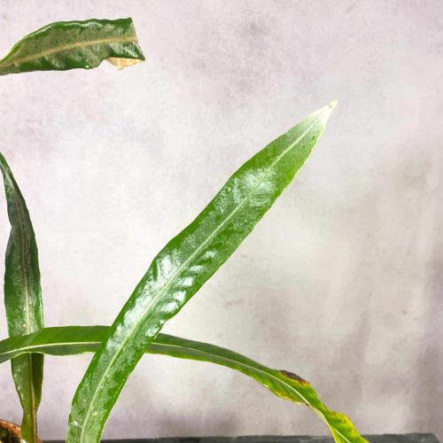 EbuAfQfKeu20VrlbTyU8.jpg EbuAfQfKeu20VrlbTyU8.jpg