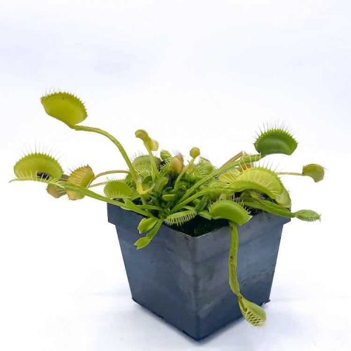 EyJZ3jawIw22biX85Tn2.jpg EyJZ3jawIw22biX85Tn2.jpg