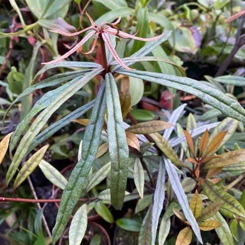 F1hBN7CEcadPTh2DOMjw.jpg F1hBN7CEcadPTh2DOMjw.jpg