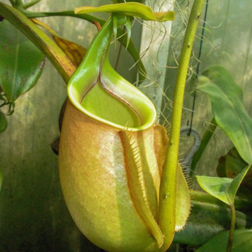 F2JCUBAxorxrYIbnAfVU.jpg F2JCUBAxorxrYIbnAfVU.jpg