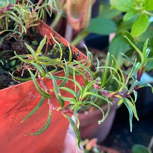 FTzWOAHwFyVmysyn9cGl.jpg FTzWOAHwFyVmysyn9cGl.jpg