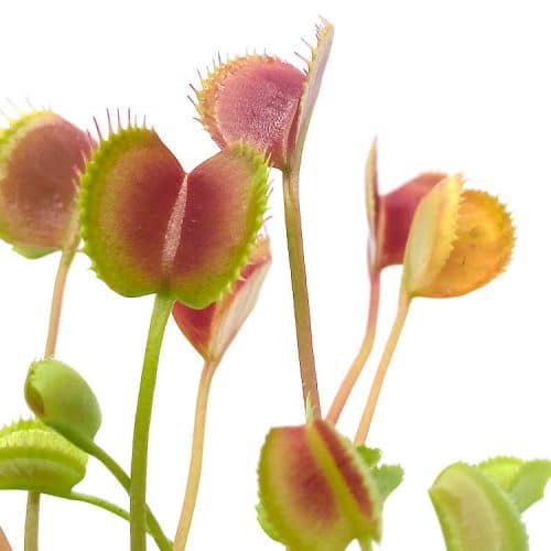 FgyOFURdTUEWj8FuY4kq.jpg FgyOFURdTUEWj8FuY4kq.jpg