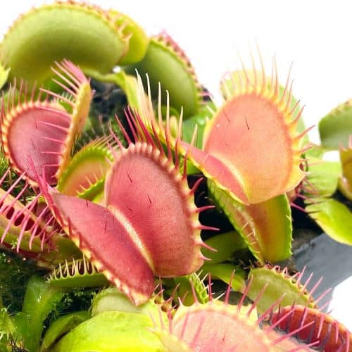 FjqDrHjfyrt8mf4LCJkF-1.jpg FjqDrHjfyrt8mf4LCJkF-1.jpg