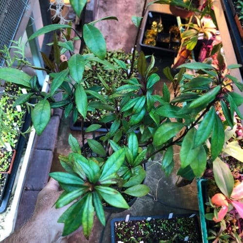 FpzoyqVFo7JtvbFCPAhF.jpg FpzoyqVFo7JtvbFCPAhF.jpg