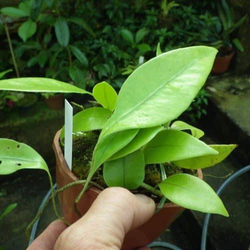 FuzGdMzS95T66DufzZt4.jpg FuzGdMzS95T66DufzZt4.jpg