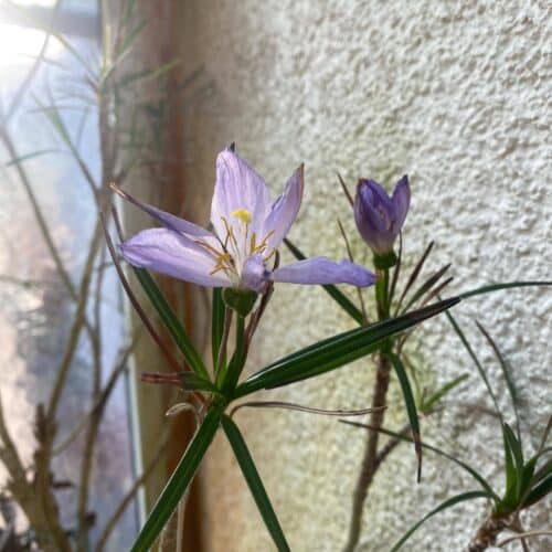 GE0hd7Fv8vvd6L5hpjbD.jpg GE0hd7Fv8vvd6L5hpjbD.jpg