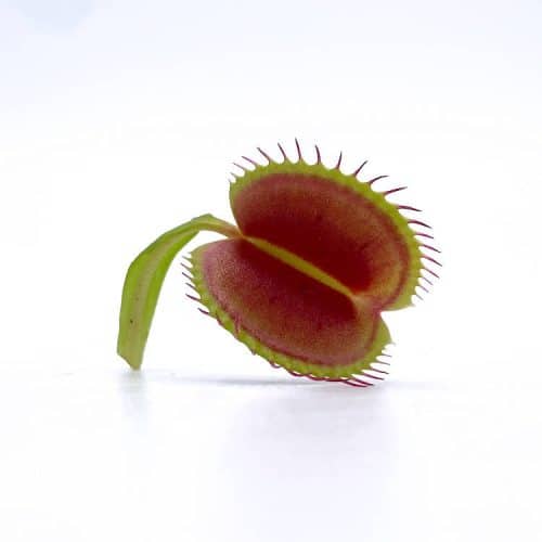 GH732zcVzgCswnjepI0s.jpg GH732zcVzgCswnjepI0s.jpg