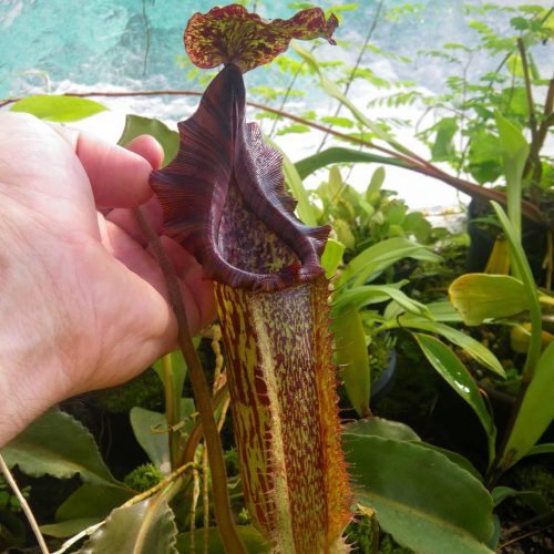 GHCxhf7EuORpFSWWyIYt.jpg GHCxhf7EuORpFSWWyIYt.jpg