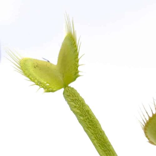 GNZavz4H7WYIoULbXt2D.jpg GNZavz4H7WYIoULbXt2D.jpg