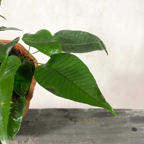 GWrfZSkWiSy7DaW0kRXz.jpg GWrfZSkWiSy7DaW0kRXz.jpg