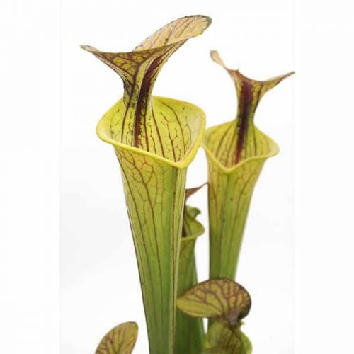 GXkYjw5LCLeB0dGGjjfK.jpg GXkYjw5LCLeB0dGGjjfK.jpg