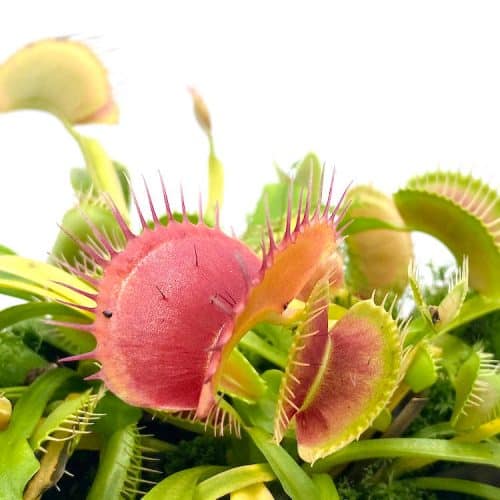 GqBbH2s2fq7CyVUwQGc9-1.jpg GqBbH2s2fq7CyVUwQGc9-1.jpg