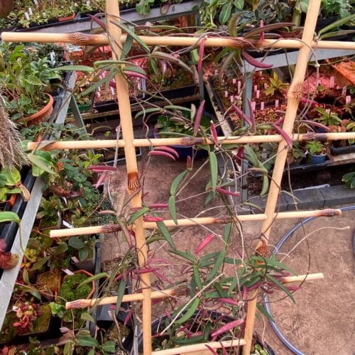 GzdRFCV3mSnNsl0Unqsq.jpg GzdRFCV3mSnNsl0Unqsq.jpg