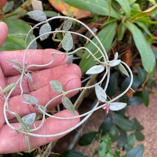 H14bfeVTYvRoduBAoJbj.jpg H14bfeVTYvRoduBAoJbj.jpg