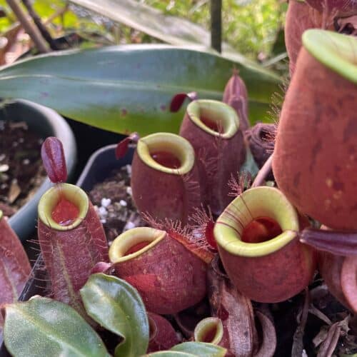 H2dQekp2ifWulQ80KvqV.jpg H2dQekp2ifWulQ80KvqV.jpg